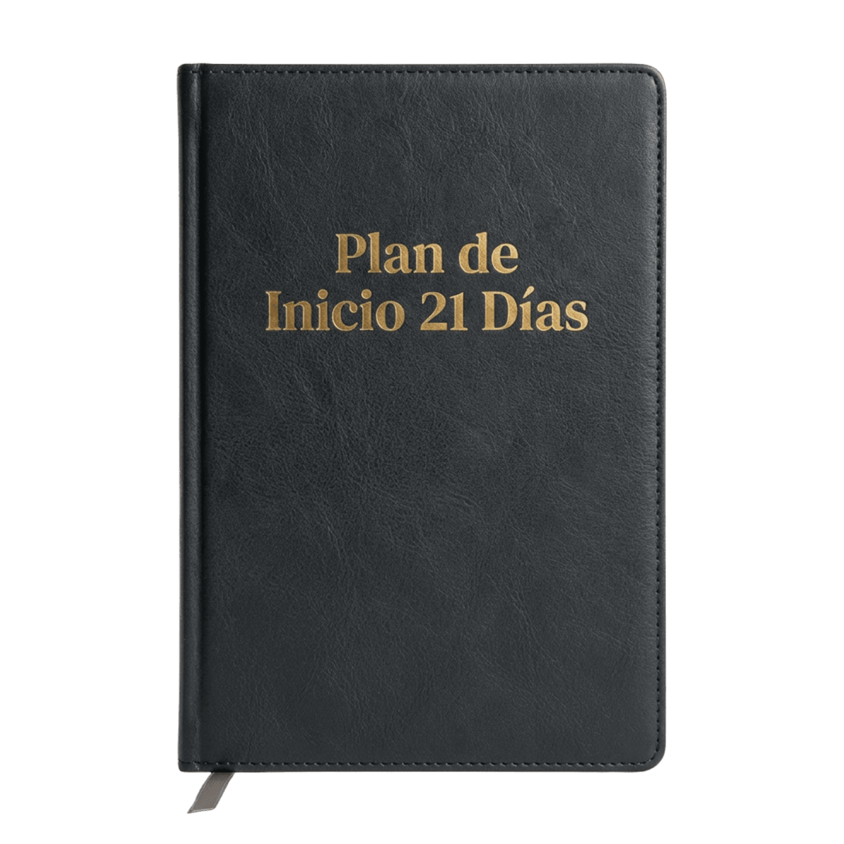E-BOOK Guía práctica para acompañar tus defensas, digestión y bienestar diario