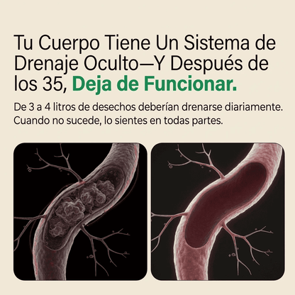 Drenaje oculto