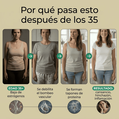 mujer linea de tiempo