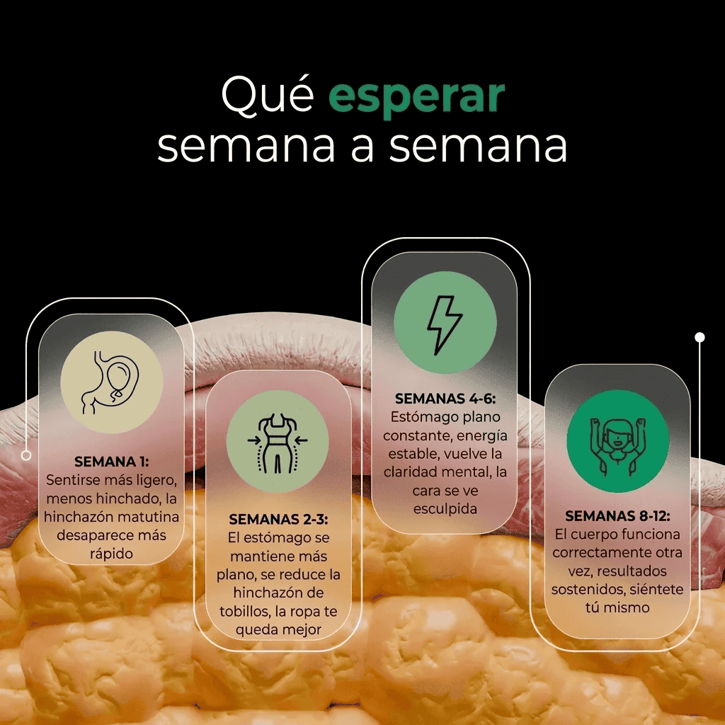viaje
