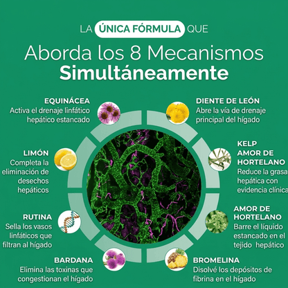 Nueva fórmula de máxima potencia: cápsulas de drenaje hepático de Sculptique™ - Upper