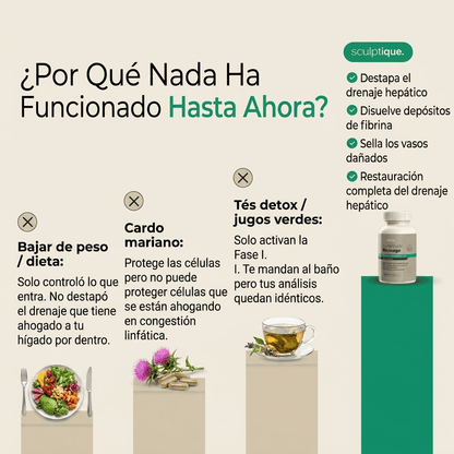 Nueva fórmula de máxima potencia: cápsulas de drenaje hepático de Sculptique™ - Upper