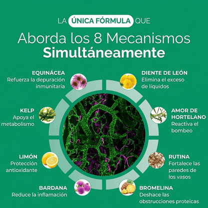 Nueva fórmula de máxima potencia: cápsulas de drenaje linfático de Sculptique™ - Upper