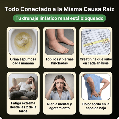 Nueva fórmula de máxima potencia: Cápsulas de drenaje linfático renal de Sculptique™ - Upper