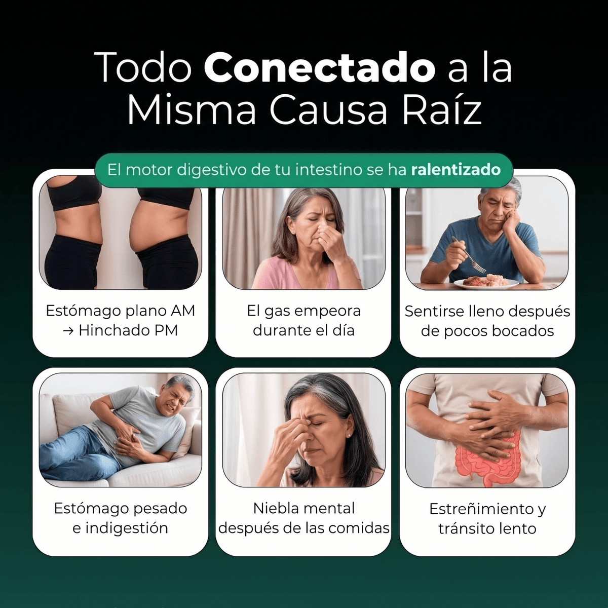 Nueva fórmula de máxima potencia: soporte intestinal premium de Sculptique™ - Upper