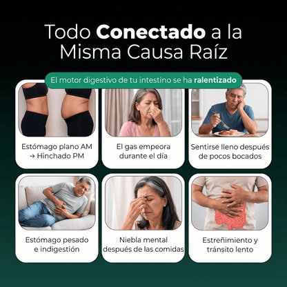 Nueva fórmula de máxima potencia: soporte intestinal premium de Sculptique™ - Upper