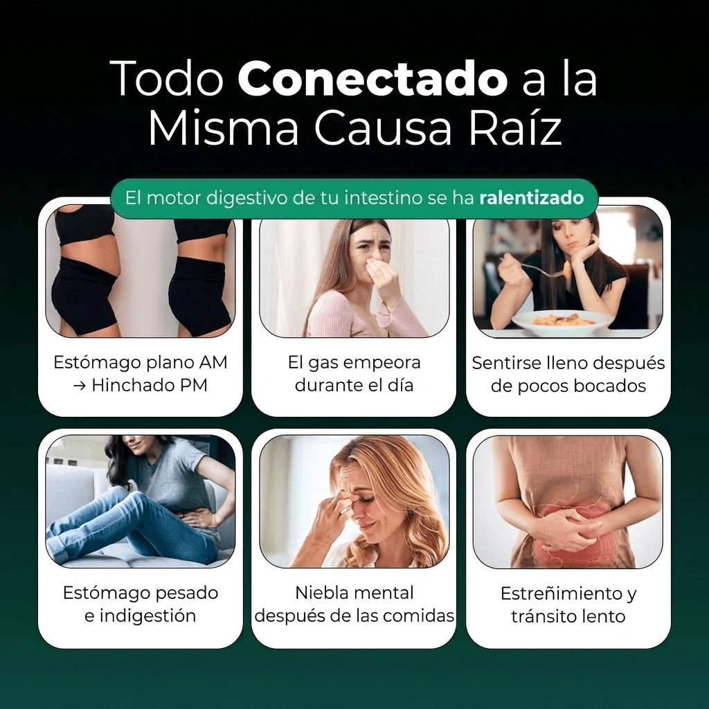 Nueva fórmula de máxima potencia: soporte intestinal premium de Sculptique™ - Upper