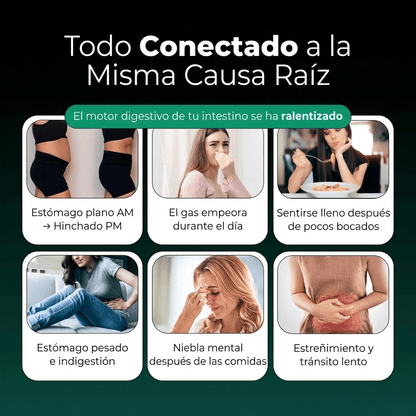 Nueva fórmula de máxima potencia: soporte intestinal premium de Sculptique™ - Upper